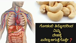 Health Benefits Of Godambi  ಗೋಡಂಬಿ ಉಪಯೋಗ Cashew Benefits  Health Tips kannada 2024 Kannada vlogs [upl. by Gustavus]