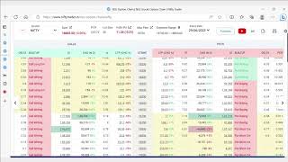 Options Chain Demo Nifty Trader [upl. by Hannala]