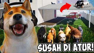 OBIT PUNYA PASUKAN ANJING  Streamer Life Simulator 10 [upl. by Ynnig]