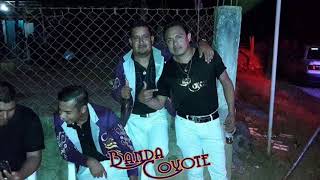 Mix Corridos  Banda Coyote De Sabanillas Gro [upl. by Dulcea]