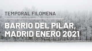 Filomena Nieve en Barrio del Pilar Madrid 2021 [upl. by Carline]