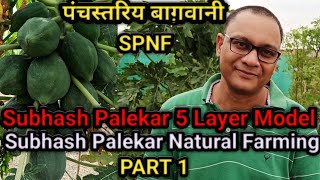 SUBHASH PALEKAR 5 LAYER MODEL  PART1  SUBHASH PALEKAR NATURAL FARMING  SPNF  MULTI LAYER FARMING [upl. by Atlee]