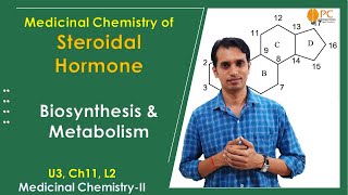 Steroidal Hormones Medicinal Chemistry Part 3 Biosynthesis and Metabolism of Steroidal Hormone [upl. by Wilterdink]