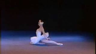 THE DYING SWAN Plisetskaya 1975 [upl. by Anoik]