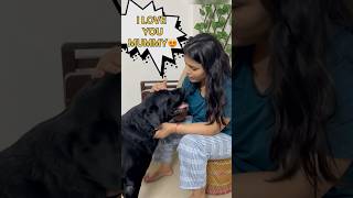 Lucky Ki Mummy Lai Diwali Gift doglover lucky [upl. by Nej]