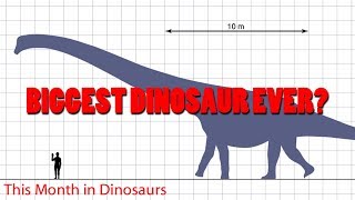 Is This the Biggest Dinosaur Ever  This Month in Dinosaurs [upl. by Bakki]