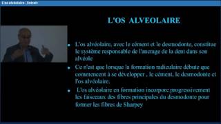 Los alvéolaire  Dr Paul Mattout [upl. by Ambert]