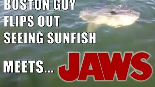 Boston Guy reacts to Sunfish  JAWS mashup trailer [upl. by Godric]