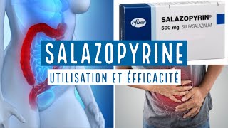 SALAZOPYRINE  Sulfasalazine  500 mg [upl. by Anileve712]