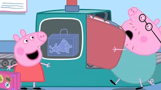 Aventura en el aeropuerto  Peppa Pig en Español Episodios Completos [upl. by Lachance484]