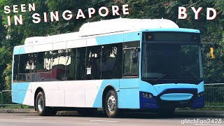 Spotted in Singapore  Incomplete BYD Gemilang Electric Bus bound for Australia [upl. by Salazar465]