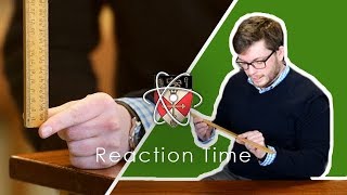 Reaction Time  GCSE Science Required Practical [upl. by Fabiano]