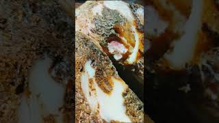 Trimming hoof very damaged hoof asmr [upl. by Redliw]