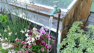 DIY Water Fountain Vintage Faucet Spigot [upl. by Irreg]