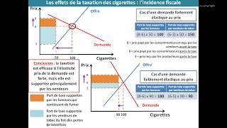 La fonction dallocation des ressources  lexemple de la taxation des cigarettes [upl. by Hartnett]