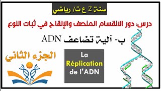 شرم مفصل لآلية تضاعف ADN ✅ ثانية ثانوي [upl. by Koloski]