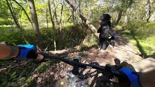 Petrifying Springs Park mountain bike ride [upl. by Matthia685]