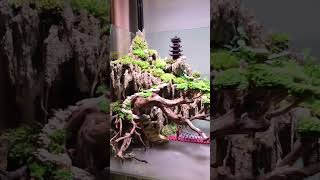 Paludarium 180X50X75cm Penjing Style bonsai terrarium aquarium aquascape paludarium mosswall [upl. by Assylem]