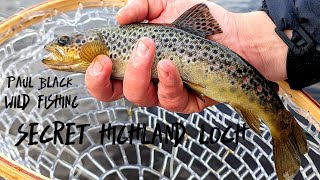 SECRET Highland LochWild Scottish Trout on DRY FLIES [upl. by Hilten34]