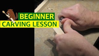 Beginner Woodcarving  Basic Cuts [upl. by Dorlisa585]