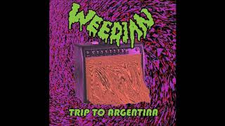 WEEDIAN  Trip to Argentina Compilation 2020  Full Album [upl. by Gnurt]