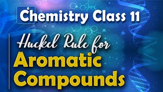 Huckel Rule for Aromatic Compounds  Aromatic Compounds  Chemistry Class 11 [upl. by Esinej]