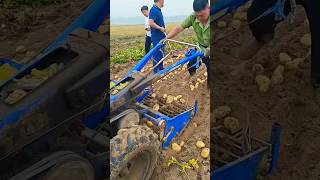 potato harvester machine shorts farming youtubeshorts [upl. by Golanka]