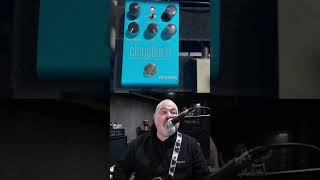 Strymon Cloudburst reverb on vocals with harmoniser [upl. by Carolee]