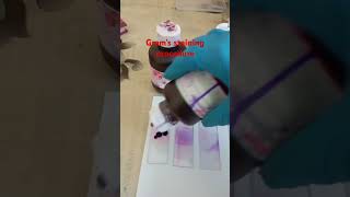 Gram staining procedure microbiology bacteria [upl. by Fawnia]