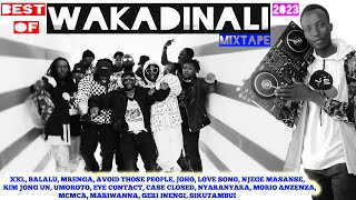 KENYAN DRILL MIXTAPE BEST OF WAKADINALI 2023 MIXTAPE AVOID THOSE PEOPLE SIKUTAMBUI CASE CLOSED [upl. by Atinor197]