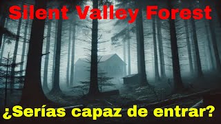 🌲👻 El Misterioso Bosque de los Valles Silenciosos en California 🌫️ ¡Desapariciones y luces extrañas [upl. by Bower]