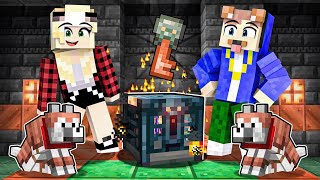 ES GIBT WIEDER SURVIVAL  1 MINECRAFT SURVIVAL 2 [upl. by Anes]