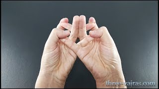 Crown Chakra Mandala Sahasrara Mudra Variations Tutorial  Three Vajras [upl. by Spalla]