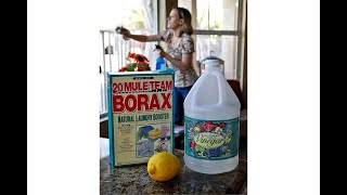 New TikTok trend has people drinking Borax  Why this toxicologist is urging people to stop [upl. by Witkin]