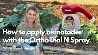 How to apply beneficial nematodes with Ortho Dial N Spray Hose End Sprayer [upl. by Vasta]