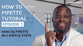 How to Pipette in 5 Simple Steps  Pipetting Tutorials  Ep 1 Micropipettes [upl. by Lillian588]