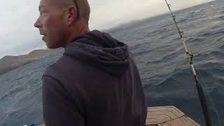 Lanzarote 2024  Deep Sea Fishing with Tortuga Fishing [upl. by Vanhomrigh]