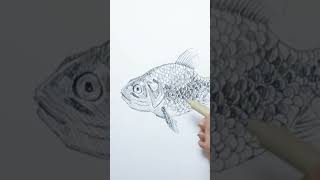 Secret of drawing a gold fish is revealed easy and step by step ballpoiintpen trending shorts [upl. by Huldah]