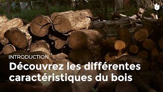 Raccordement dun poêle à bois en maison individuelle  Cheminées Poujoulat [upl. by Morocco]