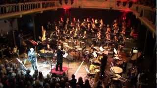 Todd Rundgren amp The Metropole Orchestra Amsterdam  entire concert [upl. by Eliak484]