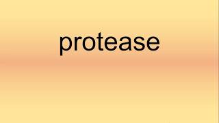 Protease Pronunciation  How to Say  How to Pronounce [upl. by Georges501]