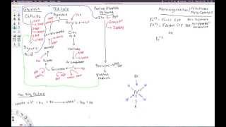 Cytochrome P450 oxidase enzyme function and cofactorsenzymes [upl. by Herra]