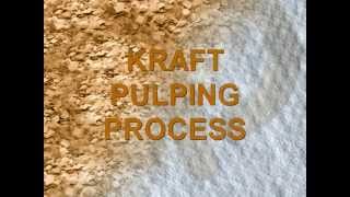 Pulp and Paper Process Flow Introduction [upl. by Dolora519]