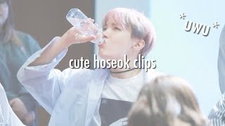 cute hoseok clips for editing 1080p [upl. by Sadiras]