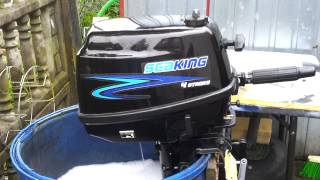 2008 SeaKing 5 hp outboard motor 4stroke  4SUW [upl. by Muscolo]