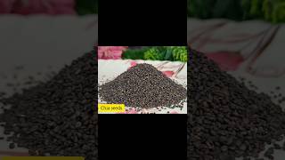 Chia Seeds Healthy Drinkshortstrendingshortshealthychiaseedsproteinweightlossfamilyplatters [upl. by Alyl]