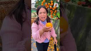 ¡Así Se Cosechan Naranjas en Asia Directamente en Canales de Agua🍊🌊 shorts [upl. by Rondon888]