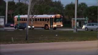 EARLY MORNING BLUE BIRD SCHOOL BUSES IN MIAMI FL [upl. by Claudine]