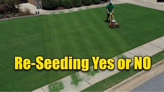 Reseeding Lawns  Does and Donts [upl. by Alacim115]