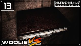 Suspicious COINTELPRO Briefcase  Silent Hill 2 13 [upl. by Georgetta]